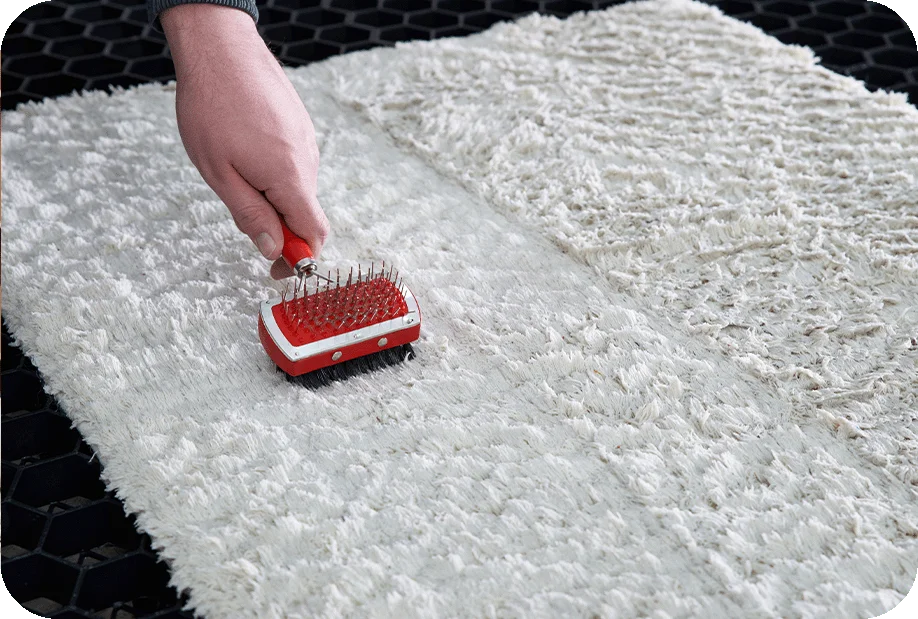 <h3>carpets cleaning</h3>